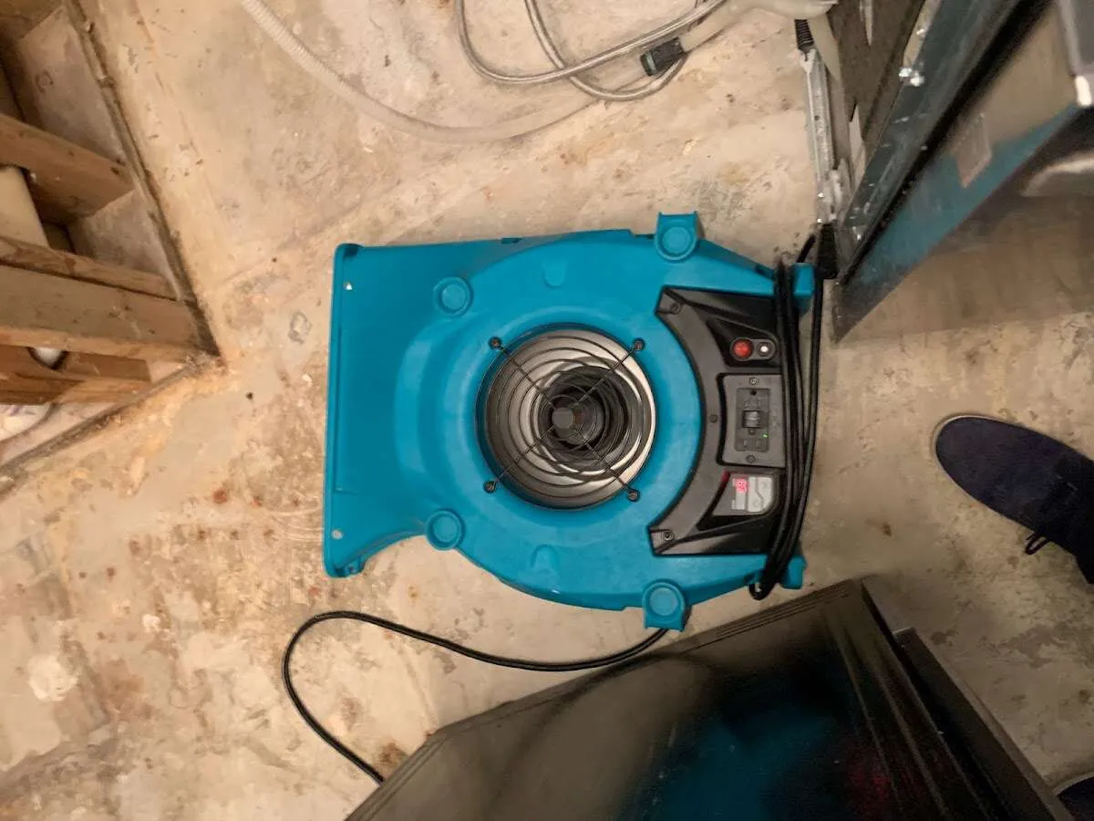 Air mover drying equipment for Mold Remediation & Removal in Swanton