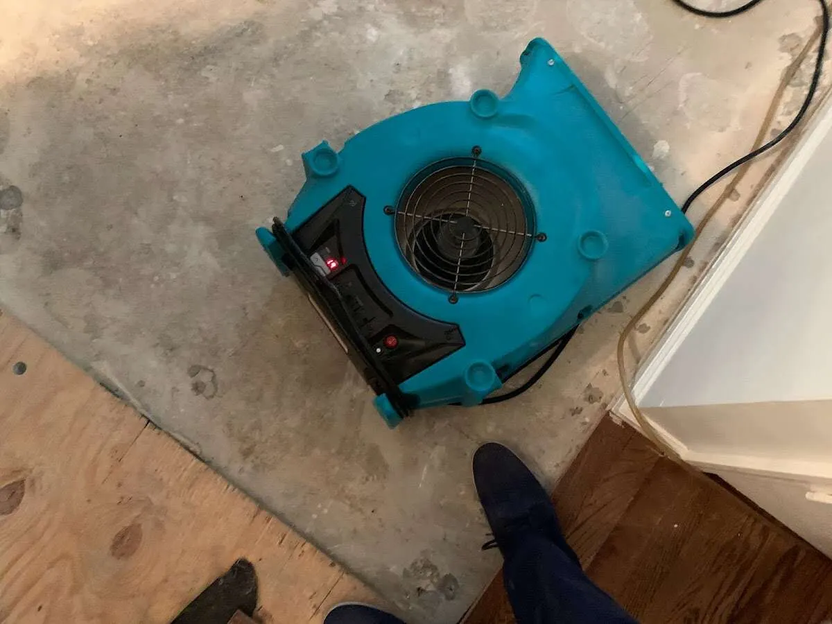 Air mover drying subfloor during Leak Detection & Repair in Swanton